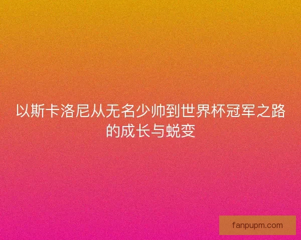 以斯卡洛尼从无名少帅到世界杯冠军之路的成长与蜕变